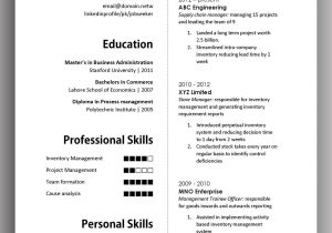 Sample Resume for One Long Term Job Simple yet Elegant Cv Template to Get the Job Done – Free Download …