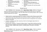 Sample Resume for Online Typing Job Data Entry Resume Sample Monster.com