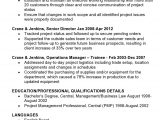 Sample Resume for Operations Manager In Banking Betriebsmanager Lebenslauf Vorlage Und Beispiele