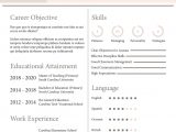 Sample Resume for Play School Teacher Fresher Fresher School Teacher Resume format Template – Word, Apple Pages …