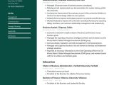 Sample Resume for Principal Research Statistician Business Analyst Resume Examples & Writing Tips 2022 (free Guide)