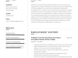 Sample Resume for Principal Research Statistician College Professor Resume Example & Writing Guide Â· Resume.io