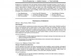 Sample Resume for Print Production Manager Manufacturing-plant-manager-resume-sample.pdf Pages 1 – 5 – Flip …
