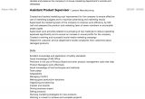 Sample Resume for Print Production Manager Product Manager Resume Samples All Experience Levels Resume …