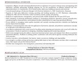Sample Resume for Production Planning and Control Manager Production Planning Manager Resume Pdf October 2021