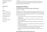 Sample Resume for Project Manager In Manufacturing 20 Project Manager Resume Examples & Full Guide Pdf & Word 2021