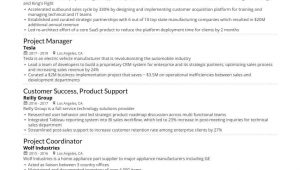 Sample Resume for Project Manager It software India 4 Job-winning Project Manager Resume Examples In 2021
