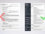 Sample Resume for Real Estate Agent with No Experience Real Estate Agent Resume Sample [job Description & 20 Tips]