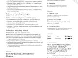 Sample Resume for Sales and Marketing Manager Job-winning Sales and Marketing Professional Resume Examples …