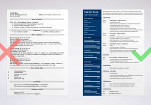 Sample Resume for Sales Representative Position Sales Resume: Examples for A Sales Representative [lancarrezekiq25 Tips]