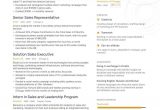Sample Resume for Sales Representative Position the Best Sales Representative Resume Examples & Skills to Get You …