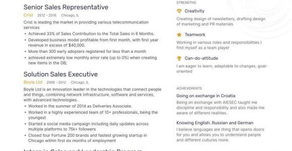 Sample Resume for Sales Representative Position the Best Sales Representative Resume Examples & Skills to Get You …