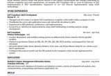 Sample Resume for Sap Mm Functional Consultant Sap Consultant Resume Example (best Action Verbs & Skills) Priwoo