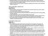 Sample Resume for Sap Security Consultant Resume Sap Grc Consultant
