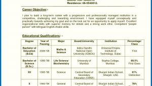 Sample Resume for School Teacher India Resume Of A Teacher India Teachers Resume format India Professor …