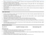 Sample Resume for Search Engine Evaluator Search Engine Marketing Resume – Cerel