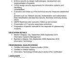 Sample Resume for Security Officer In India Cyber Security Cv Template Examples Audit, Finance Management