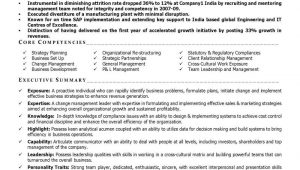 Sample Resume for Senior Management Position Free Executive Leadership Resumes Cv Samples, Visual Resumes formats
