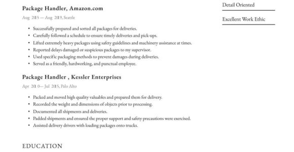 Sample Resume for Ups Package Handler Package Handler Resume Example & Writing Guide Â· Resume.io