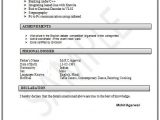 Sample Resume for Vlsi Engineer Fresher Vlsi Engineer Resume Best Resume Examples