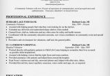 Sample Resume for Volunteer Board Position Munity Volunteer Resume Sample