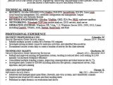 Sample Resume format for It Professional 40 Simple It Resume Templates Pdf Doc