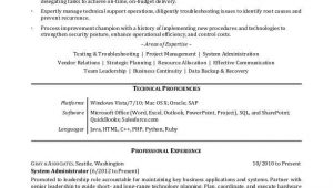 Sample Resume format for It Professional It Professional Resume Sample