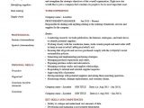 Sample Resume format for Purchase Executive Procurement Manager Resume Template, Example, Cv, Doc, India, Pdf …