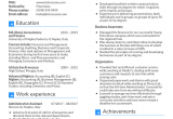 Sample Resume format with Work Experience Work Experience Sample Cv for Accountant Simple Guidance