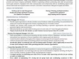 Sample Resume Headline for Sales Manager Sales-manager-resume-sample – Resume4dummies