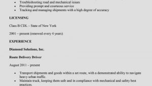 Sample Resume Newspaper Delivery Job Description How to Write A Delivery Driver Resume (with Examples) -the Jobnetwork