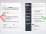 Sample Resume Ngo Annual Report Template Nonprofit Resume Examples (template & Guide)