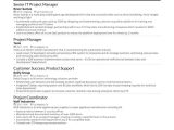 Sample Resume Non Profit Program Manager 4 Job-winning Project Manager Resume Examples In 2021