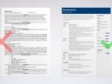 Sample Resume Non Profit Program Manager Program Manager Resume Examples 2021 [template & Guide]
