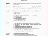 Sample Resume Objective for Summer Job Objective In A Resume Karate, Job, Statements