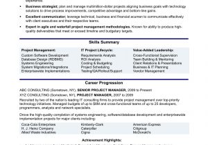 Sample Resume Objective Statements for Project Manager Experienced It Project Manager Resume Monster.com