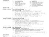 Sample Resume Objective Statements for Project Manager Technical Project Manager Resume Examples Computers & Technology …
