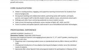 Sample Resume Objectives for Experienced It Professionals Resume Objective Examples and Writing Tips