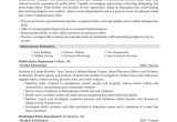 Sample Resume Objectives for Law Enforcement Law Enforcement Skills for Resume Chief Police Officer Experience …