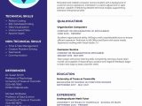 Sample Resume Of Current College Student College Student Resume Examples and Templates Mypath