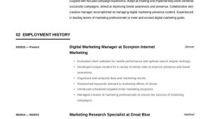 Sample Resume Of Digital Marketing Manager Digital Marketing Manager Resume Examples & Writing Tips 2021 (free