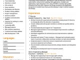 Sample Resume Senior Citizen Center Director It Director Resume Example 2022 Writing Tips – Resumekraft