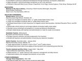 Sample Resume Summary Of Qualifications Examples Summary Of Qualifications Example