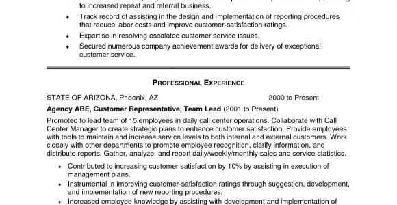 Sample Resume Summary Statement for Customer Service New Customer Service Resume Summary Examples – Resume Template …