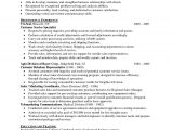 Sample Resume Summary Statement for Customer Service Sample Customer Service Resume Customer Service Resume Examples …