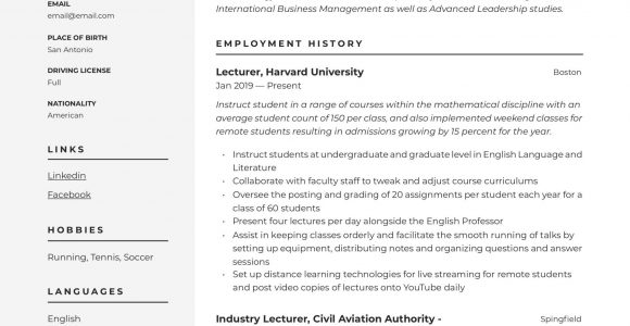 Sample Resume to Apply for Lecturer Post Lecturer Resume & Writing Guide  18 Free Examples 2020