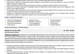 Sample Resume with Comp Tia Security Credentials Cio Resume Examples & Template (with Job Winning Tips)