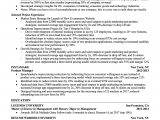 Sample Resume with Multiple Positions at Same Company Sample Resume Templates for Experienced It Professionals – Good …