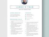 Sap Sd Mm Consultant Resume Sample Free Free Sap Sd Consultant Resume Template – Word, Apple Pages