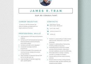 Sap Sd Mm Consultant Resume Sample Free Free Sap Sd Consultant Resume Template – Word, Apple Pages